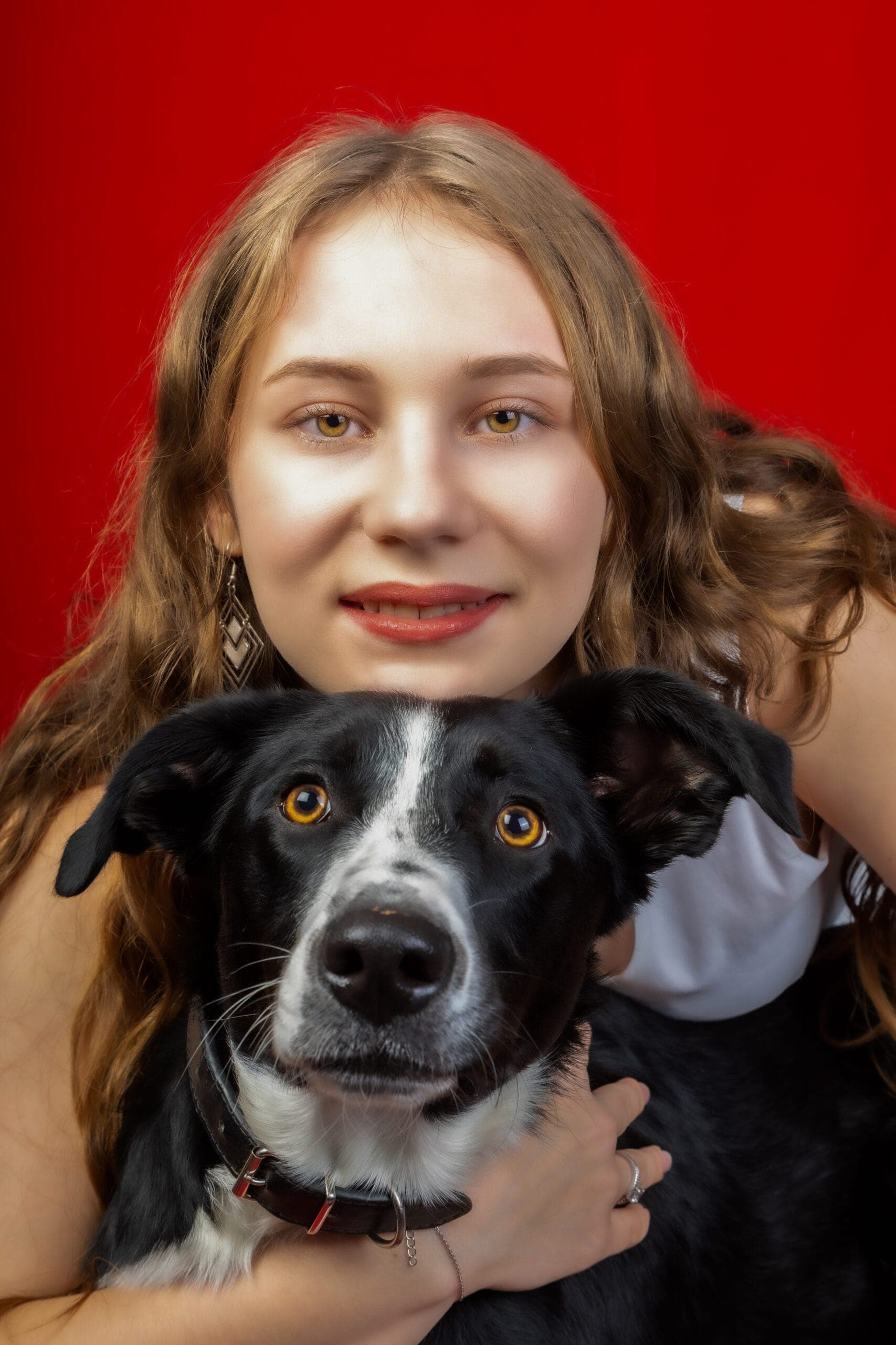 Chien au regard attachant