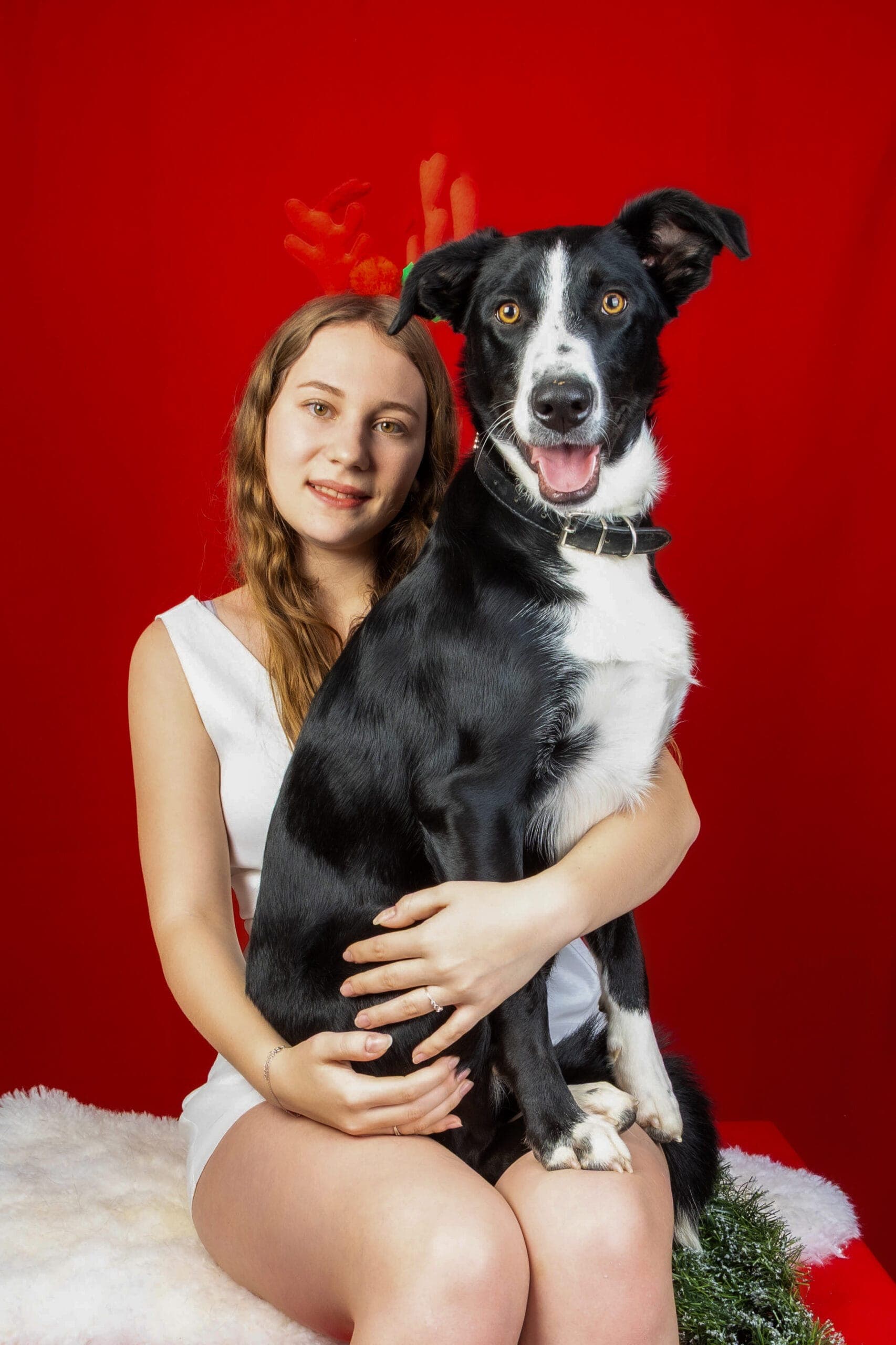 Portrait complice d'un animal de compagnie