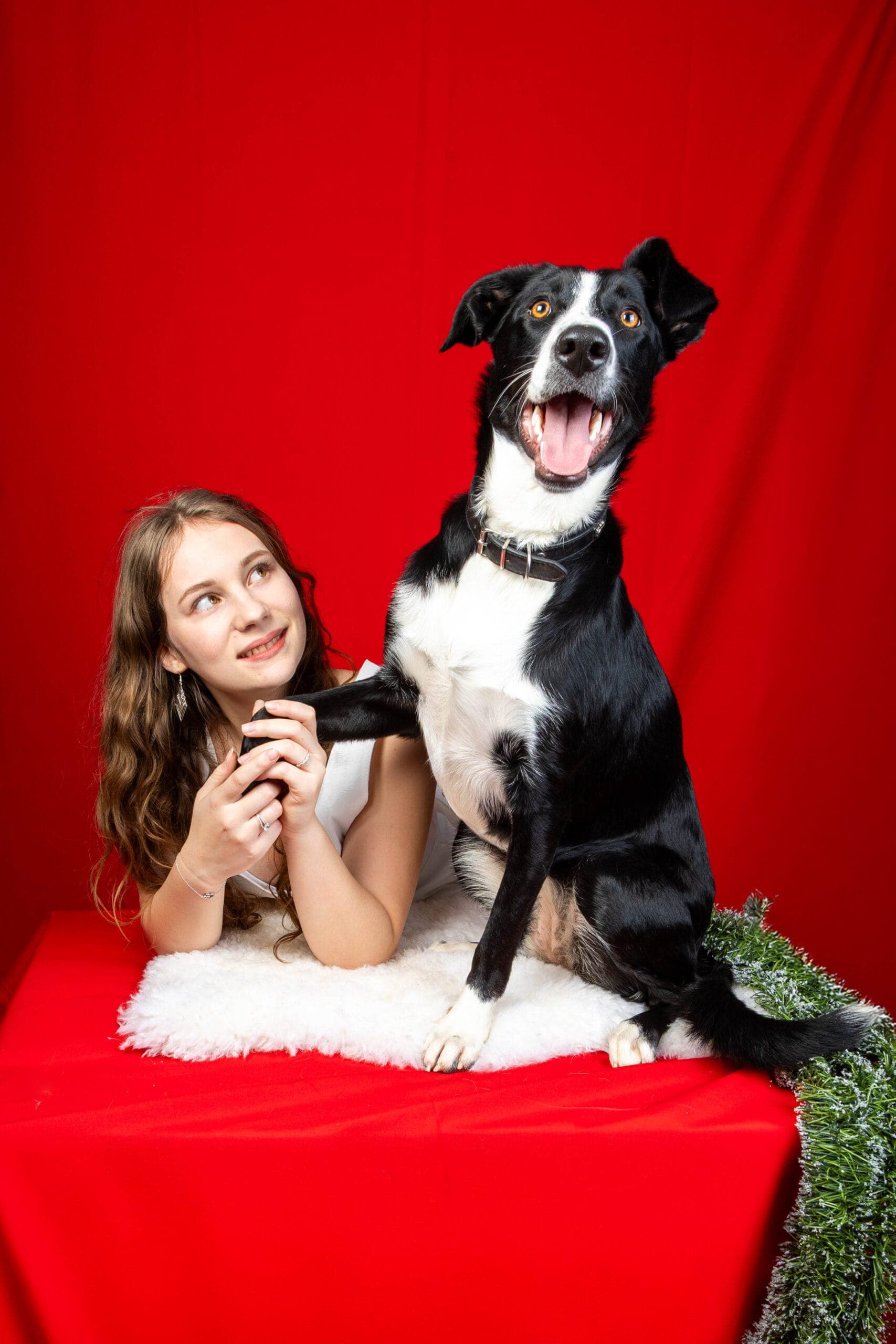 Animal photographié dans le calme du studio